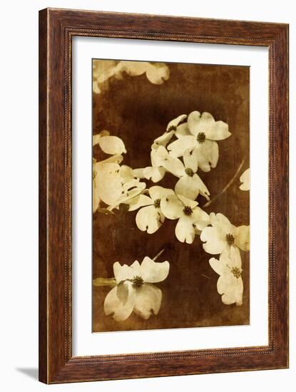 Dogwood I-Thea Schrack-Framed Giclee Print