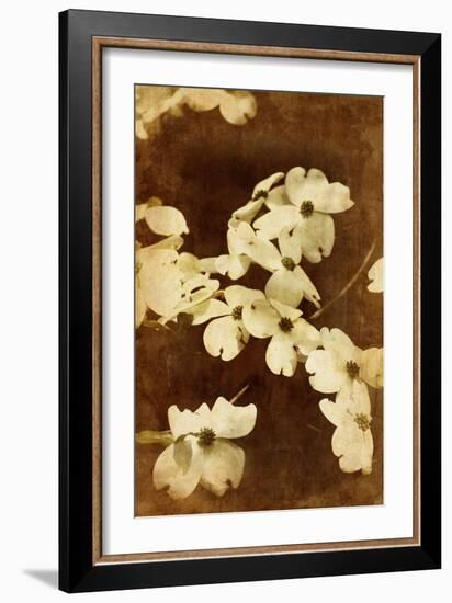 Dogwood I-Thea Schrack-Framed Giclee Print