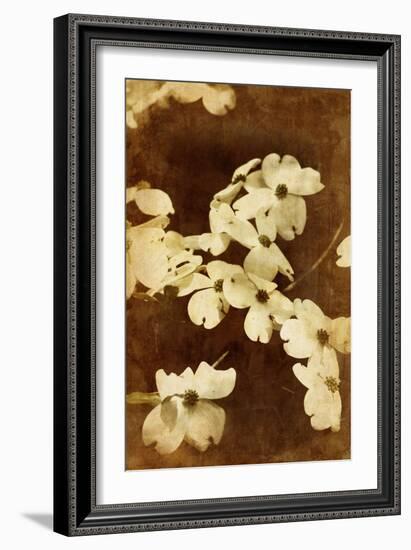 Dogwood I-Thea Schrack-Framed Giclee Print