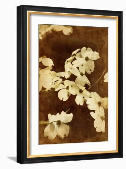 Dogwood I-Thea Schrack-Framed Giclee Print