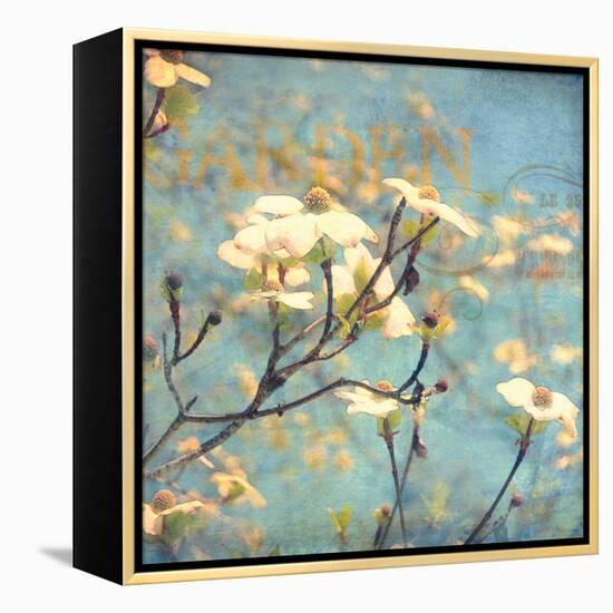 Dogwood II - Blossoming Tree-Amy Melious-Framed Stretched Canvas