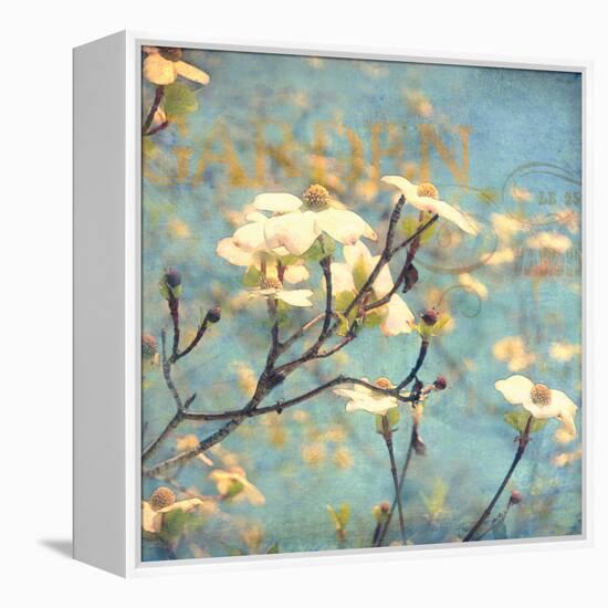 Dogwood II - Blossoming Tree-Amy Melious-Framed Stretched Canvas