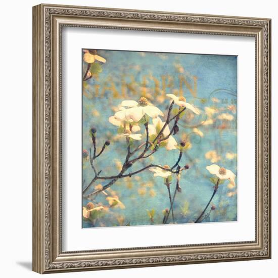 Dogwood II - Blossoming Tree-Amy Melious-Framed Art Print