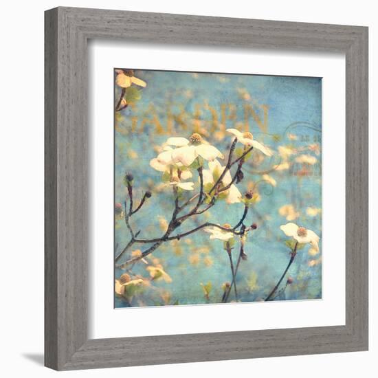 Dogwood II - Blossoming Tree-Amy Melious-Framed Art Print