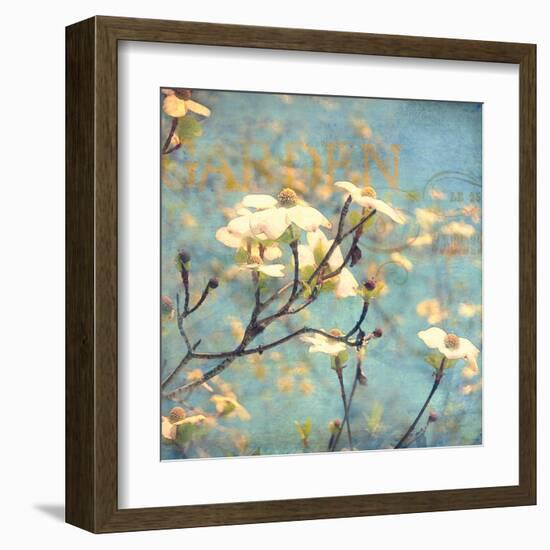 Dogwood II - Blossoming Tree-Amy Melious-Framed Art Print