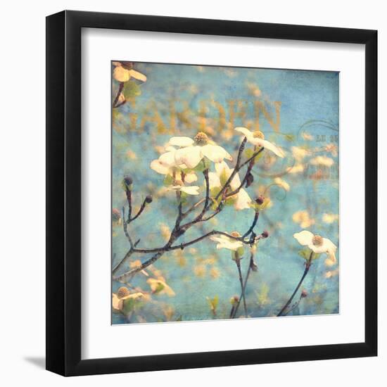 Dogwood II - Blossoming Tree-Amy Melious-Framed Art Print