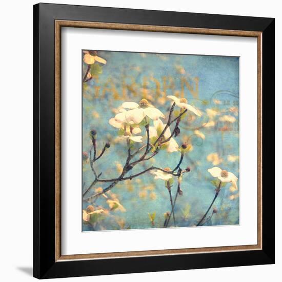 Dogwood II - Blossoming Tree-Amy Melious-Framed Art Print