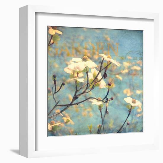 Dogwood II - Blossoming Tree-Amy Melious-Framed Art Print