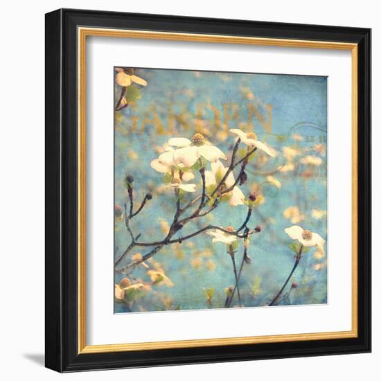 Dogwood II - Blossoming Tree-Amy Melious-Framed Art Print