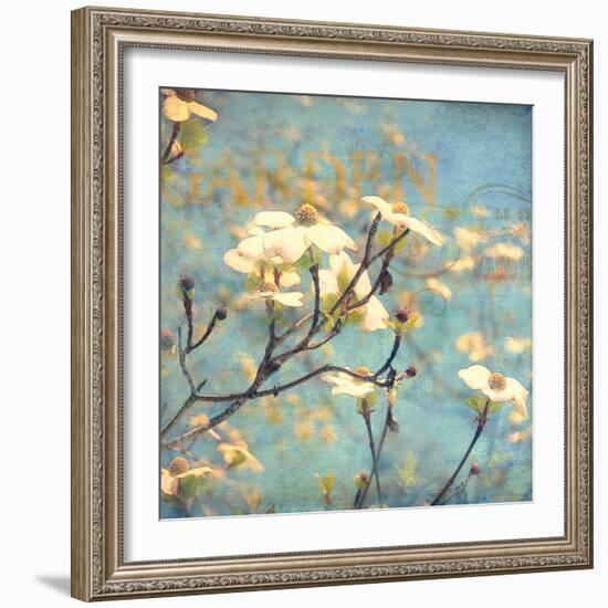 Dogwood II - Blossoming Tree-Amy Melious-Framed Art Print