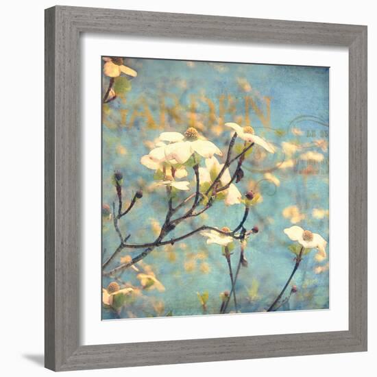 Dogwood II - Blossoming Tree-Amy Melious-Framed Art Print