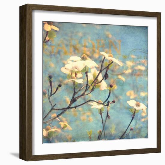 Dogwood II - Blossoming Tree-Amy Melious-Framed Art Print