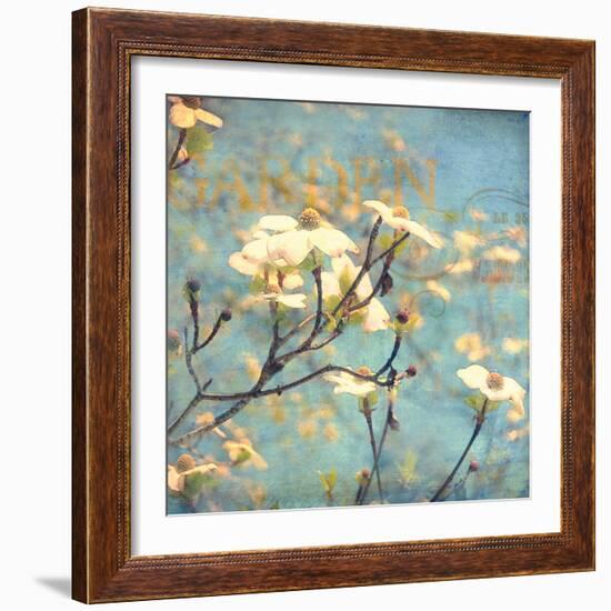 Dogwood II - Blossoming Tree-Amy Melious-Framed Art Print