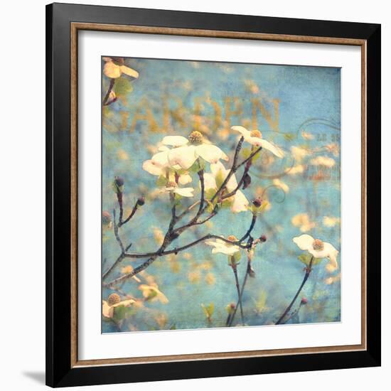 Dogwood II - Blossoming Tree-Amy Melious-Framed Art Print