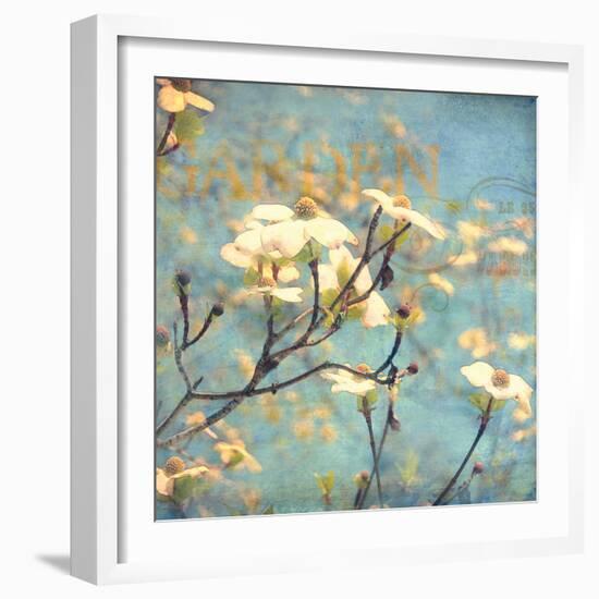 Dogwood II - Blossoming Tree-Amy Melious-Framed Art Print