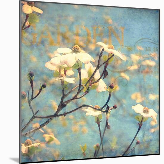 Dogwood II - Blossoming Tree-Amy Melious-Mounted Art Print