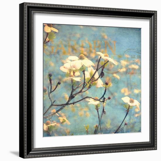 Dogwood II - Blossoming Tree-Amy Melious-Framed Art Print