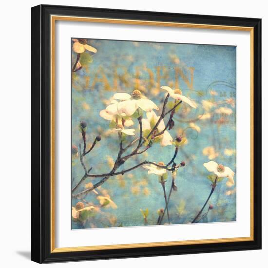 Dogwood II - Blossoming Tree-Amy Melious-Framed Art Print