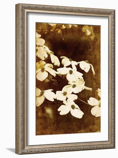 Dogwood II-Thea Schrack-Framed Giclee Print