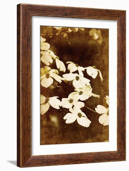 Dogwood II-Thea Schrack-Framed Giclee Print