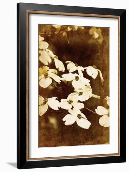 Dogwood II-Thea Schrack-Framed Giclee Print