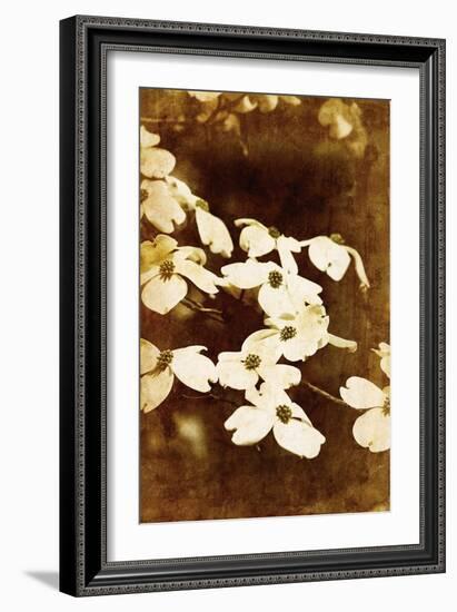 Dogwood II-Thea Schrack-Framed Giclee Print