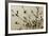 Dogwood IV-Alan Hausenflock-Framed Photographic Print