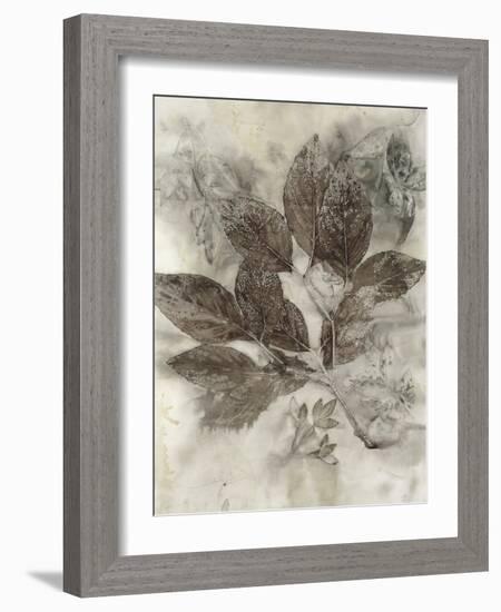 Dogwood Leaves II-Kathryn Phillips-Framed Art Print