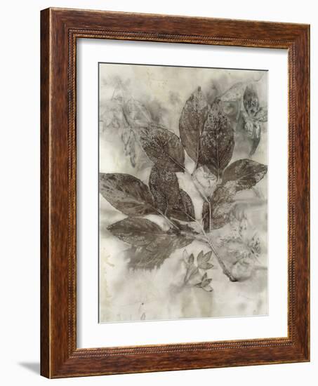 Dogwood Leaves II-Kathryn Phillips-Framed Art Print