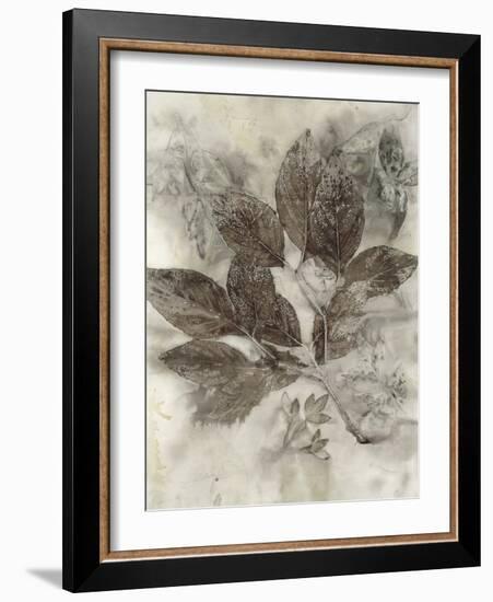 Dogwood Leaves II-Kathryn Phillips-Framed Art Print