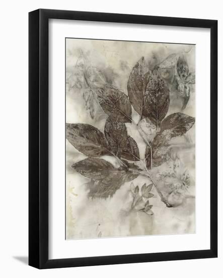 Dogwood Leaves II-Kathryn Phillips-Framed Art Print