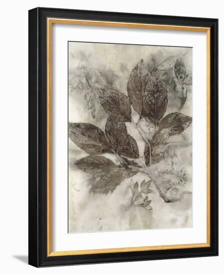 Dogwood Leaves II-Kathryn Phillips-Framed Art Print