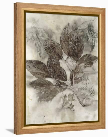 Dogwood Leaves II-Kathryn Phillips-Framed Stretched Canvas