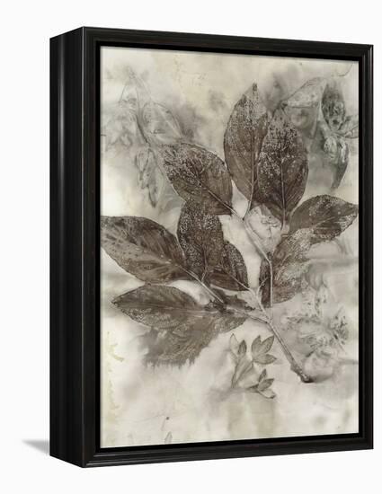 Dogwood Leaves II-Kathryn Phillips-Framed Stretched Canvas