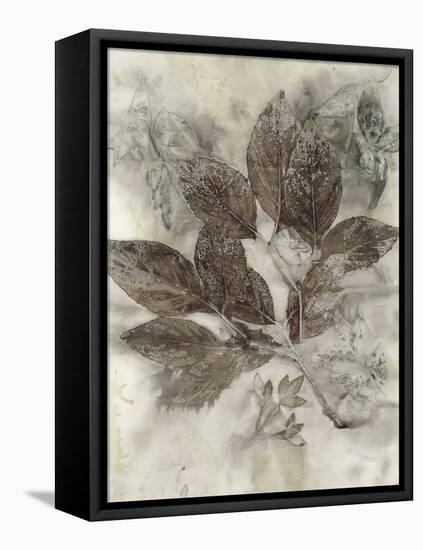 Dogwood Leaves II-Kathryn Phillips-Framed Stretched Canvas