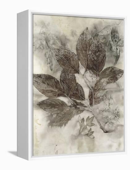 Dogwood Leaves II-Kathryn Phillips-Framed Stretched Canvas