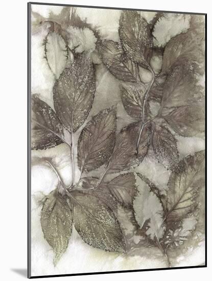 Dogwood Leaves III-Kathryn Phillips-Mounted Art Print
