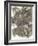 Dogwood Leaves III-Kathryn Phillips-Framed Art Print