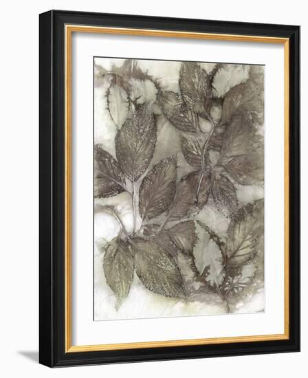 Dogwood Leaves III-Kathryn Phillips-Framed Art Print