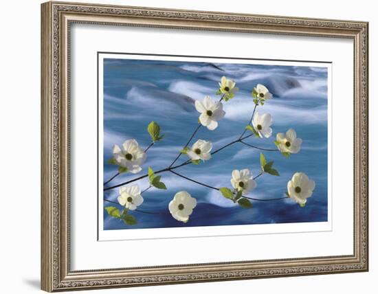 Dogwood River-Donald Paulson-Framed Giclee Print