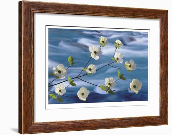 Dogwood River-Donald Paulson-Framed Giclee Print