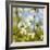 Dogwood Tree Flowers-Richard T. Nowitz-Framed Photographic Print