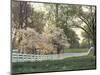 Dogwood Trees at Sunset Along Fence on Horse Farm, Lexington, Kentucky, USA-Adam Jones-Mounted Photographic Print