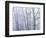 Dogwood Trees in Great Smoky Mountains National Park-Owaki - Kulla-Framed Photographic Print