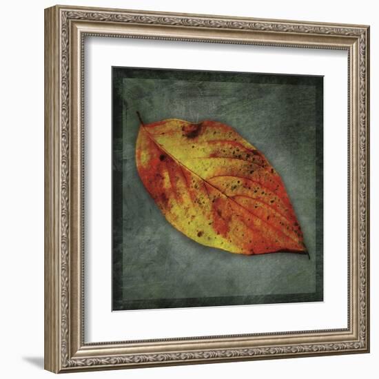 Dogwood Yellow-John Golden-Framed Art Print