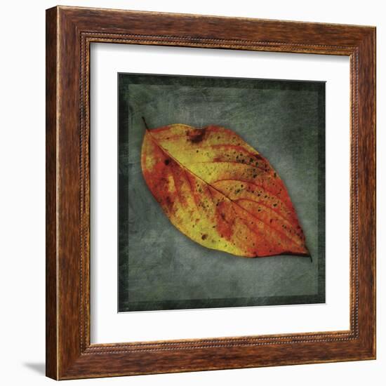 Dogwood Yellow-John Golden-Framed Art Print