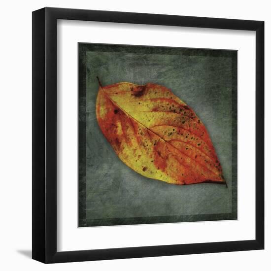 Dogwood Yellow-John Golden-Framed Art Print