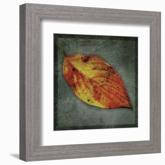 Dogwood Yellow-John W^ Golden-Framed Art Print