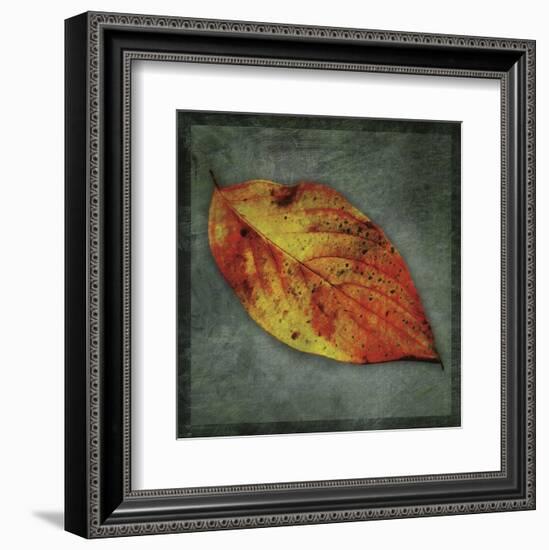 Dogwood Yellow-John W^ Golden-Framed Art Print