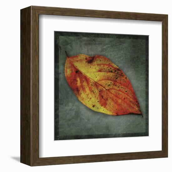 Dogwood Yellow-John W^ Golden-Framed Art Print